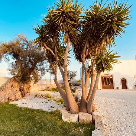 Guardian's House Bed & Breakfast Monopoli