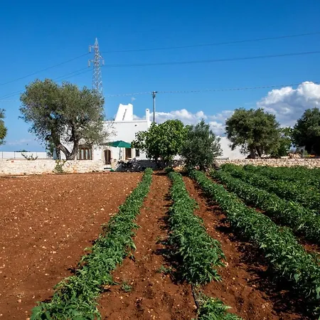 Guardian's House Bed & Breakfast