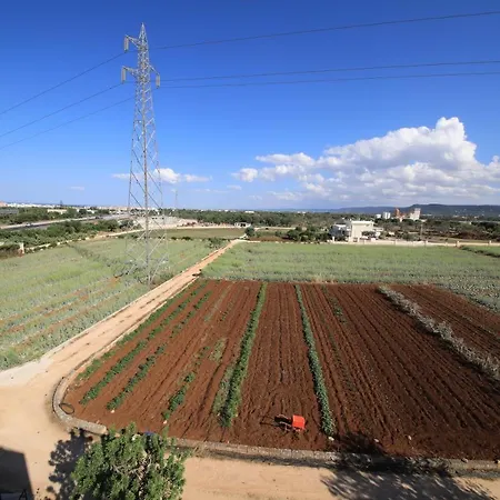 Guardian's House Monopoli