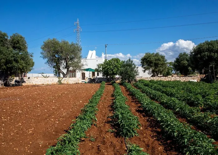 Guardian's House Bed & Breakfast